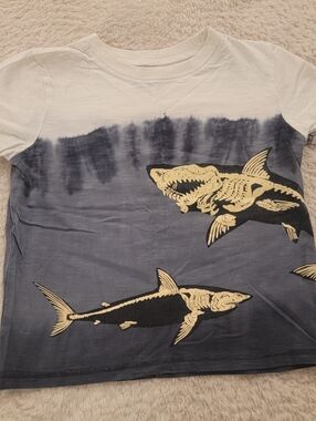 Hatley Shark Tee Skeleton Design 4t